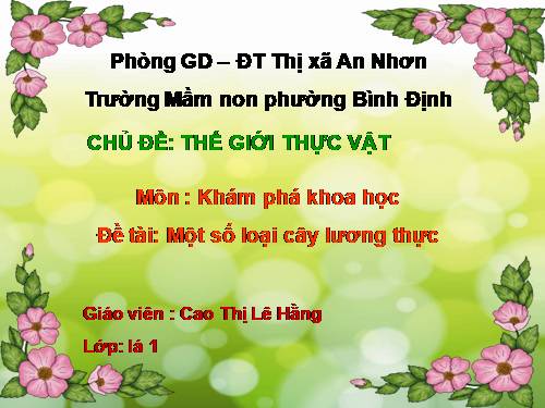 tim hieu mot so cay luong thuc