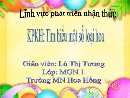 Tìm hiểu về một số loại hoa