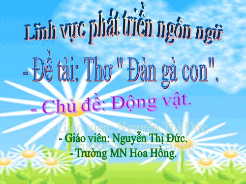 Thơ: Đàn gà con