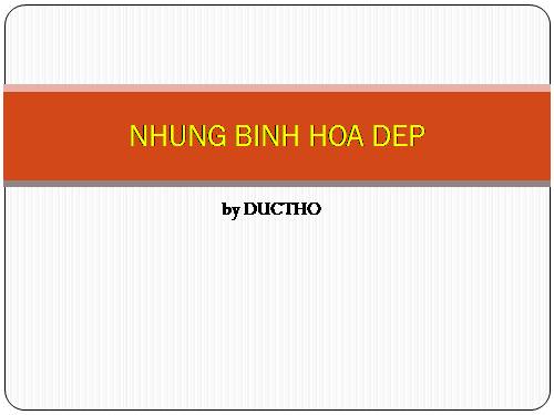 NHUNG BINH HOA DEP