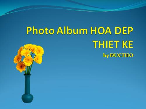 Photo Album HOA DEP THIET KE