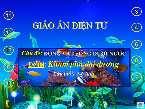 Kham pha dai duong