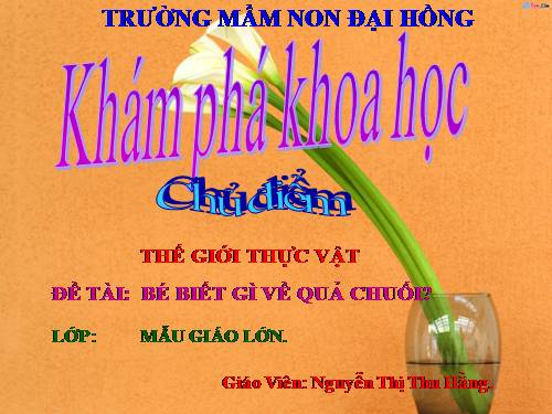 KHÁM PHÁ QUẢ CHUỐI