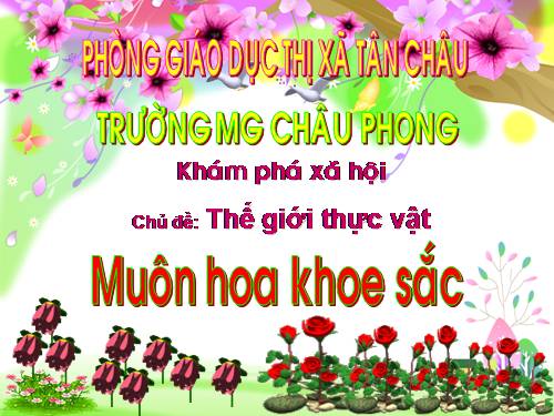 muon hoa khoe sac