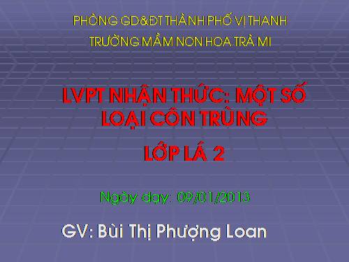 TÌM HIỂU CÔN TRÙNG