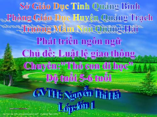 thỏ co đi học