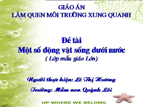 Một số động vật sống dưới nước