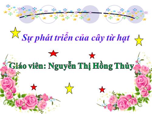 Sự phát triển của cây từ hạt