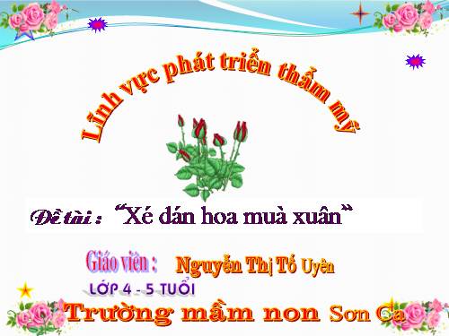 xe dan hoa mua xuan