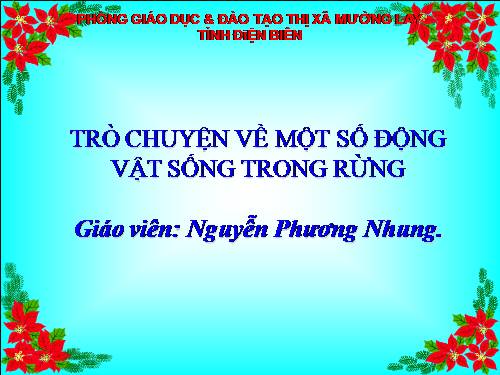 TRO CHUYEN VÊ ĐÔNG VẠT RỪNG