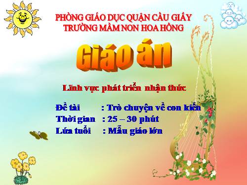 Trò chuyện về con Kiến