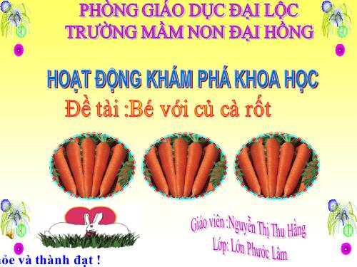 KPKH CỦ CÀ RỐT 2013