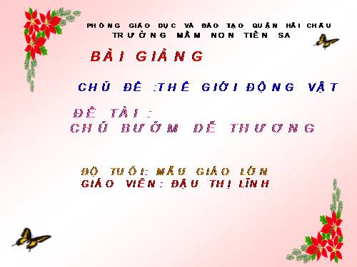 GA Chú bướm dễ thương