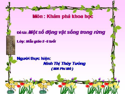 KPKH - Một số ĐV sống trong rừng