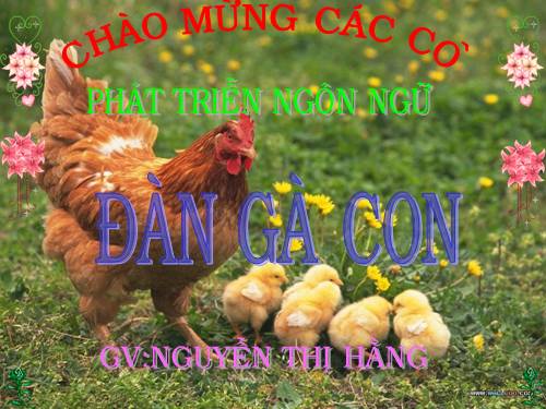 Đàn gà con