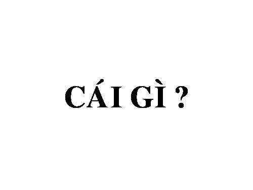 DẠY BÉ ĐẶT CÂU HỎI VÀ TRẢ LỜI QUA HÌNH 2  HÌNH