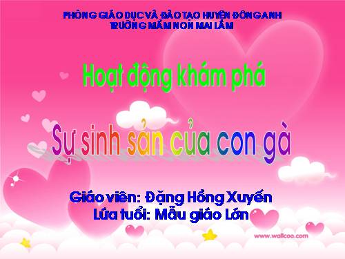 KP SỰ SINH SẢN CỦA CON GÀ