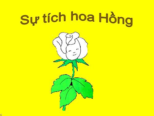 truyen: Sự tích hoa hồng