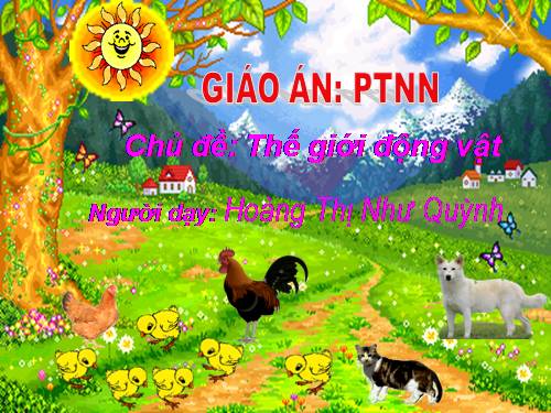 MTXQ - Một số con vật nuôi trong gia đình