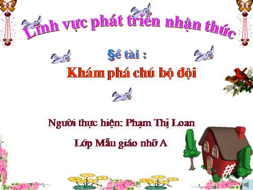 khám phá  xã hội