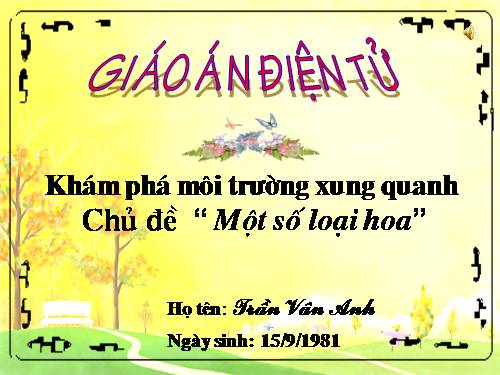 MỘT SỐ LOẠI HOA