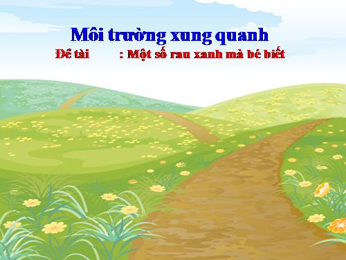 MỘT SỐ LOẠI RAU