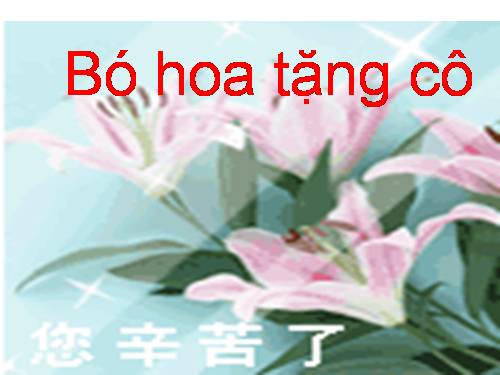 Bông hoa tăng cô