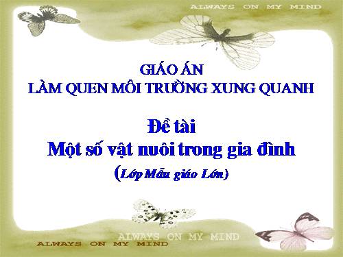 Thế giới động vật