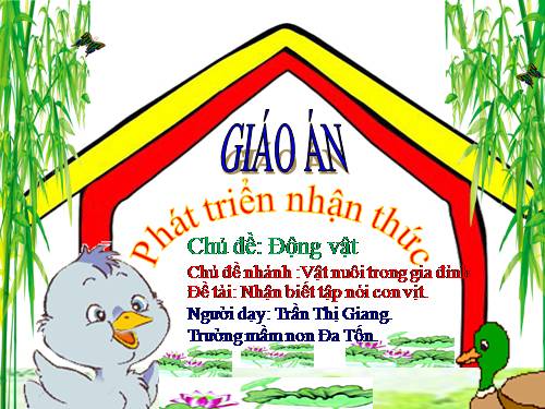 Nhan biet tap noi con vit