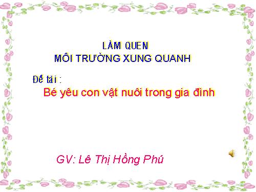 hat gao lang ta