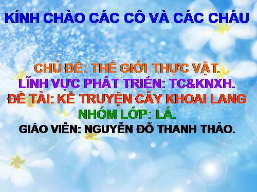 tình cảm kỷ năng xã hôi