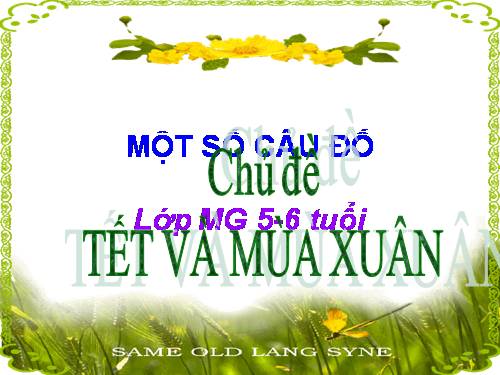 tết và nùa xuân