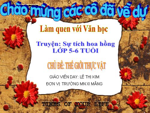 SỰ TÍCH HOA HÔNG_NT72