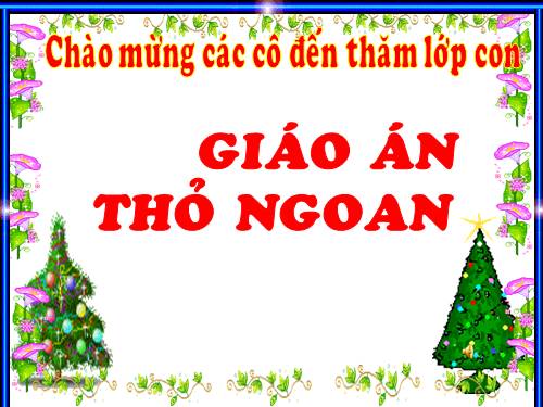 Chuyện Thỏ Ngoan