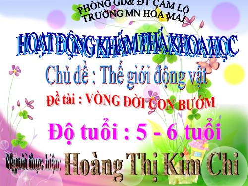 vòng đời của bướm