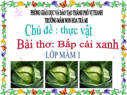 BÀI THƠ BẮP CẢI XANH