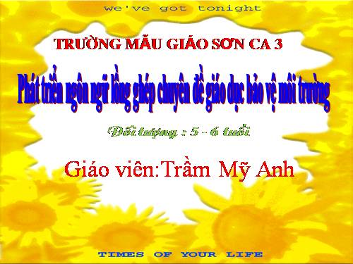 MG SON CA 3 CA MAU