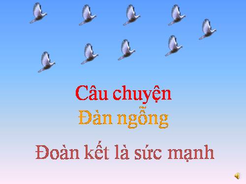 sự đoàn kết