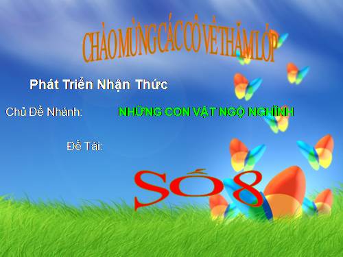 số 8