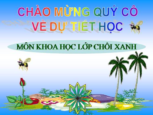 SỰ PHÁT TRIỂN CỦA ẾCH