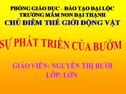 Chủ điểm TGĐV: Sự phát triển của bướm