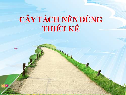 CÂY TÁCH NỀN DÙNG THIẾT KẾ