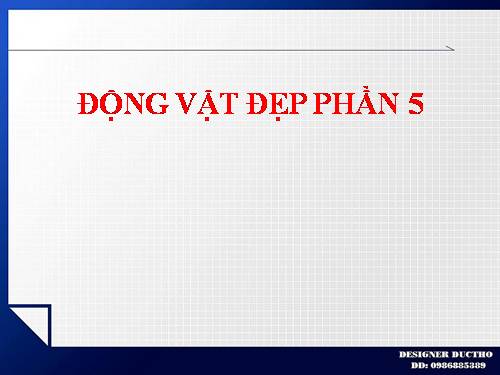 ĐỘNG VẬT ĐẸP PHẦN 5