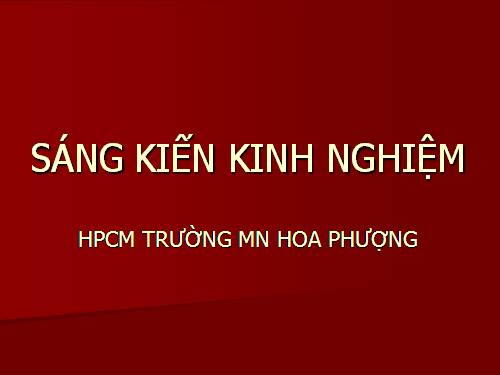 SK KINH NGHIỆM