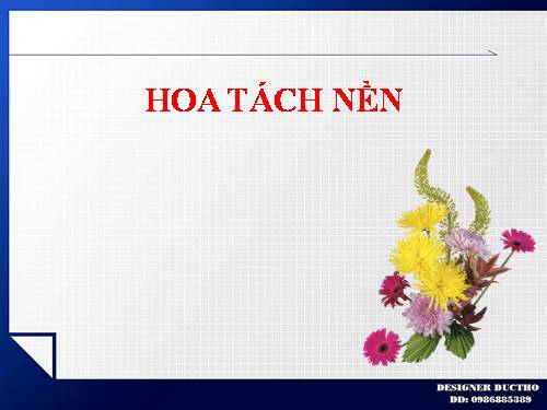 HOA TÁCH NỀN