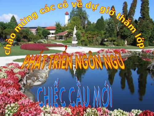 chiếc cầu mới