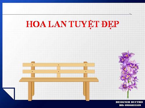 HOA LAN TUYỆT ĐẸP