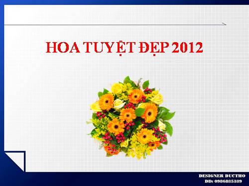 HOA TUYỆT ĐẸP 2012