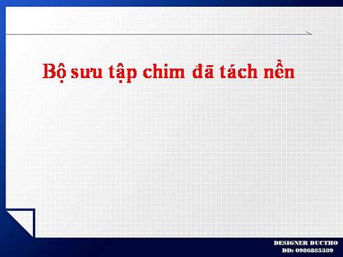 Bộ sưu tập chim đã tách nền