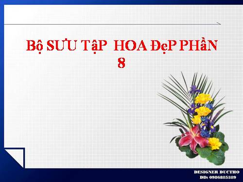 Bộ SƯU TậP  HOA ĐẹP PHầN 8